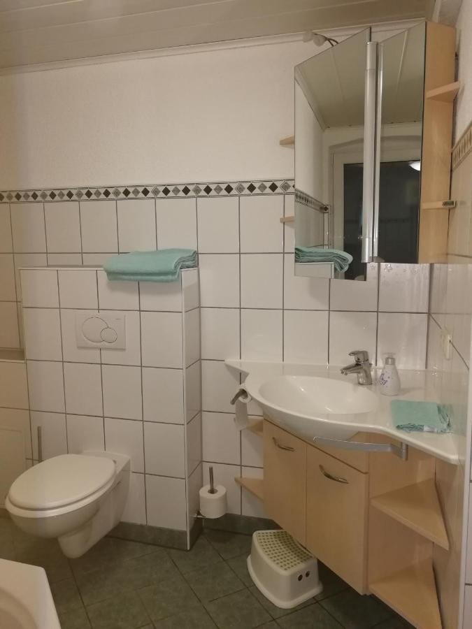 Ferienwohnung Simmert Kurort Gohrisch Zewnętrze zdjęcie