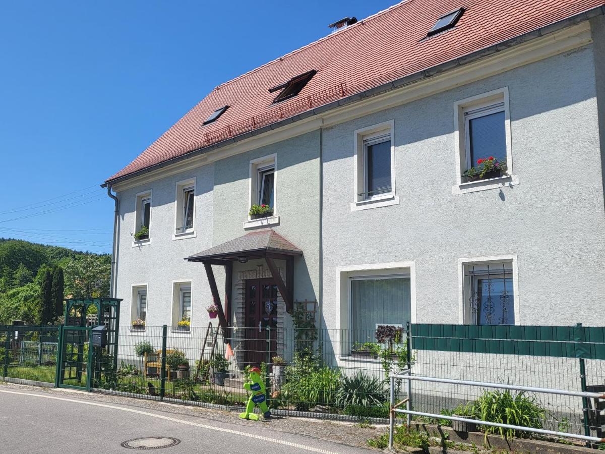 Ferienwohnung Simmert Kurort Gohrisch Zewnętrze zdjęcie