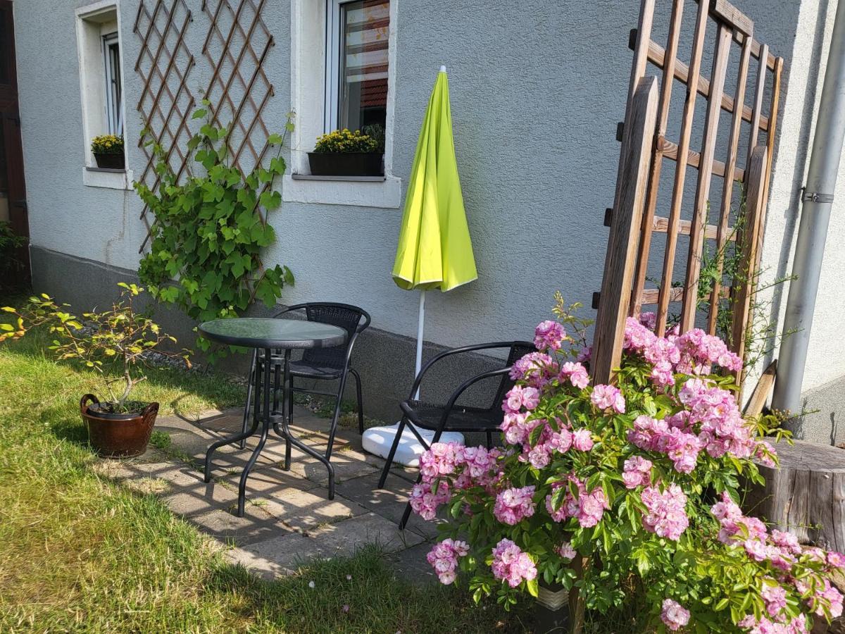 Ferienwohnung Simmert Kurort Gohrisch Zewnętrze zdjęcie